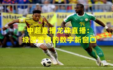 中超直播龙珠直播：绿茵激情的数字新窗口