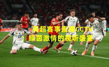 英超赛事直播CCTV：绿茵激情的视听盛宴
