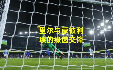 里尔与蒙彼利埃的绿茵交锋