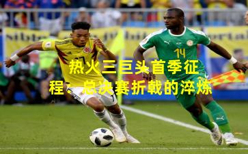  热火三巨头首季征程：总决赛折戟的淬炼